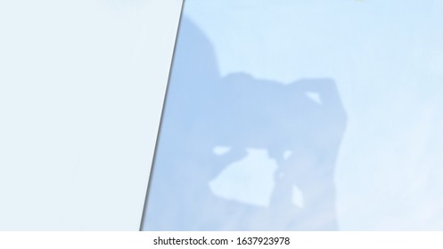 The shadow of the photographer - Powered by Shutterstock - Get 15% off with code: PIKWIZARD15