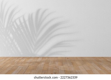 Shadow of Tree and Sunlight on Empty Room White Wall and Wooden Plank Floor extreme closeup. 3d Rendering