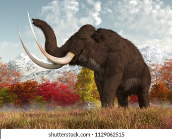 A shaggy woolly mammoth stands in the long grass of a field in an autumn scene.  This massive animal is an extinct creature of the ice age. 3D Rendering