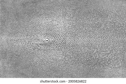 Shagreen Stingray Skin Texture Isolated High Resolution