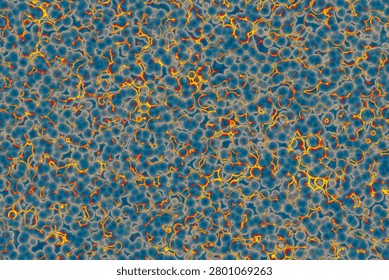 Shape of bacterial cell: cocci, bacilli, spirilla bacteria background