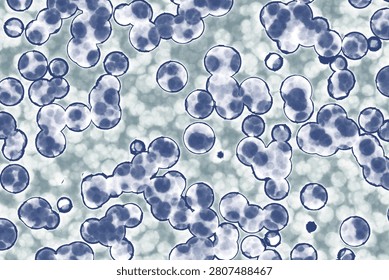 Shape of bacterial cell: cocci, bacilli, spirilla bacteria background