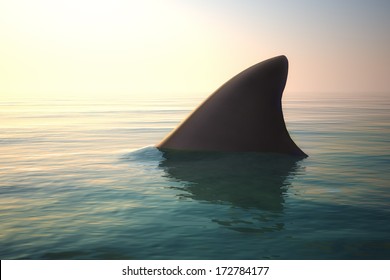 Shark Fin Above Ocean Water