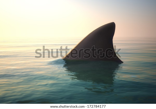 海水の上のサメのひれ のイラスト素材