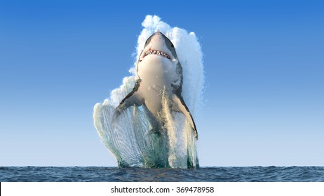 Shark jumps out of the water