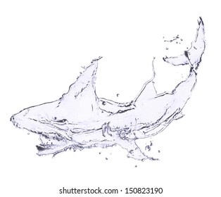 Shark Made Of Water Splash On White Background