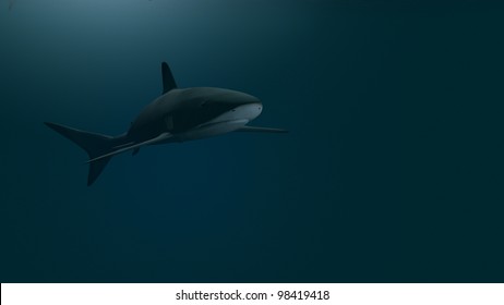 33 Shark remora fish Stock Illustrations, Images & Vectors Shutterstock