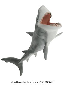shark side attack