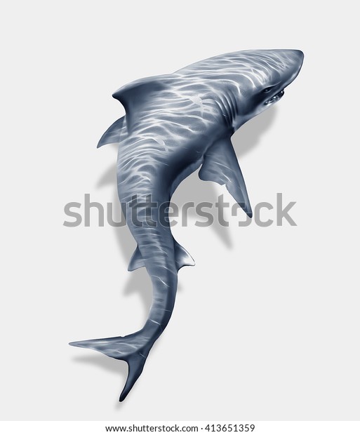 Shark Tattoo のイラスト素材