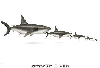Sharks devouring each other, conceptual representation of the new economy, 3d illustration