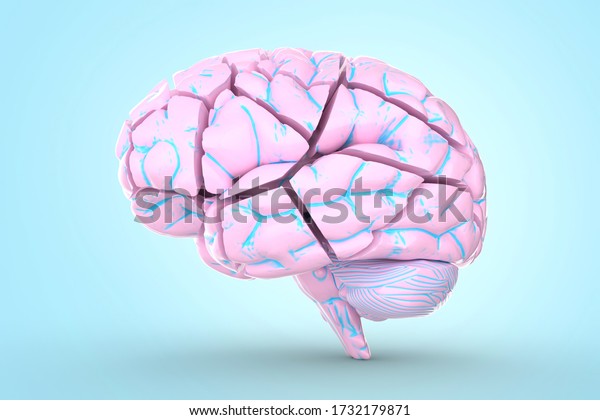 Shattered Brain Conceptual 3d Illustration Helpful Stock Illustration ...