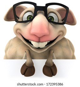 Sheep