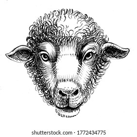 Sheep Head Ink Black White Drawing Stock Illustration 1772434775 ...