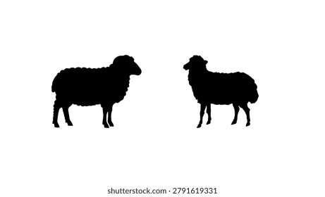 The sheep on the right is angled slightly toward the viewer while facing left. It appears a bit leaner, with its legs clearly defined and a slightly different wool texture outline.