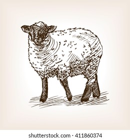 Sheep Sketch Style Hand Drawn Illustration Stock Vector (Royalty Free ...