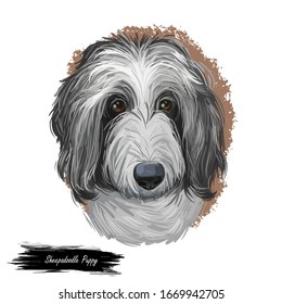 Sheepadoodle Puppy Digital Art Illustration Isolated On White. Cute Canine Dog Animal, Pet Shop Emblem, T-shirt Print Design. Old English Sheepdog And Poodle, Mixed Cross Breed Hand Drawn Portrait