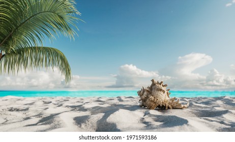 砂浜 貝殻 のイラスト素材 画像 ベクター画像 Shutterstock