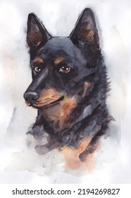 Shepherd Dog Watercolor Painting Pet Portrait 