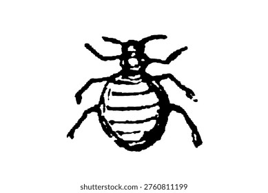 A shield bug (pentatomidae) with characteristic broad, shield-shaped body and distinct markings, showing detailed entomological illustration and garden insect morphology, old vintage illustration, 1897.