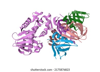 Shiga Toxin Produced By Bacteria Shigella Dysenteriae. Ribbons Diagram With Differently Colored Protein Chains Based On Protein Data Bank Entry 1r4p. Scientific Background. 3d Illustration