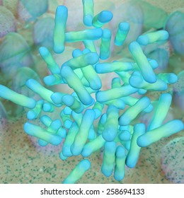 Shigella Dysenteriae - 3d Rendered Illustration