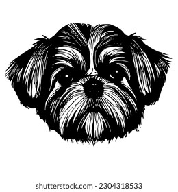 Shih Tzu  toy dog  Dog   line drawing black   white  cartoon