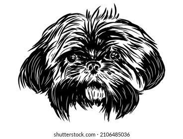 shih  tzu dog head drawn in black ink