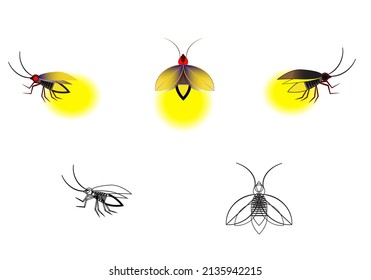 Shining firefly bug glowing on white background.Glowing fireflies on a grass filed at night . Enigmatic and mysterious illustration with beautiful blue lights in the night. firefly spread wings.