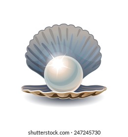 開いた貝殻のイラストに輝く真珠 のイラスト素材