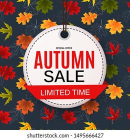 Shiny Autumn Leaves Sale Banner. Business Discount Card. Illustration - Powered by Shutterstock