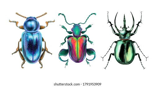 344,063 Insect Antennas Images, Stock Photos & Vectors | Shutterstock