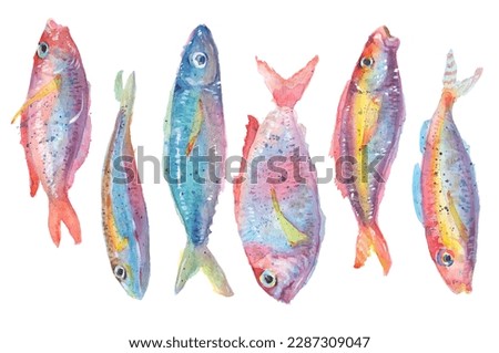 Shoal of fish watercolor drawing. A group of fish watercolor brush painting, Watercolor splash. Isolated colourful fish illustration