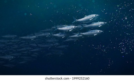 shoal of herrings between plastic pollution, microplastic particles in ocean water (3d illustration)