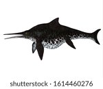 Shonisaurus Ichthyosaur Side Profile 3D illustration - Shonisaurus popularis was an Ichthyosaur that lived in the seas of North America during the Triassic Period.