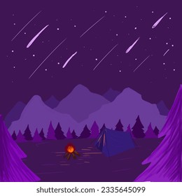 shooting star in the forest