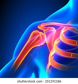 Shoulder Joint Anatomy Pain concept with Circulatory System