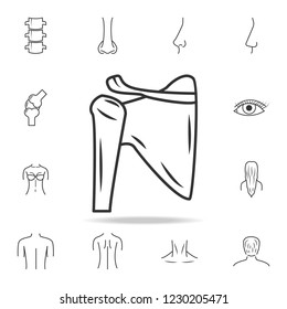 Shoulder Joint Isolated Icon. Detailed Set Of Human Body Part Icons. Premium Quality Graphic Design. One Of The Collection Icons For Websites, Web Design, Mobile App