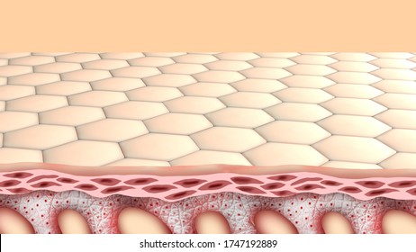 1,808 Skin penetration Images, Stock Photos & Vectors | Shutterstock