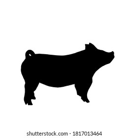 Show pig black outline with transparent back