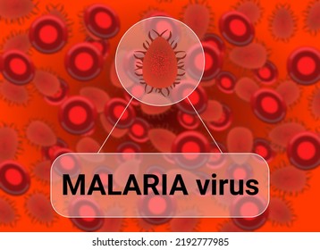 Showing Malaria Virus Isolated On Blur Background. Concept For Medical, Since And Health Care.