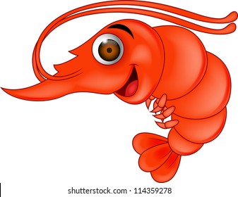 Shrimp Cartoon