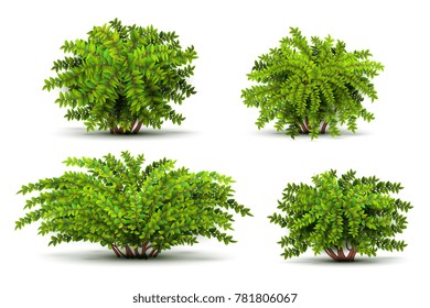 Shrubbery, 3d Isometric Bushes Isolated On White Set. Green Shrubbery Illustration