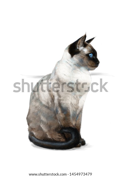 Siamese Cat Color Pencil Drawing On Stock Illustration 1454973479,Cellulose In Food Industry