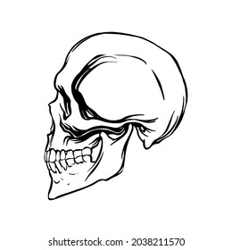 Side View Of A Human Skull In A Linear Style. Clipart.