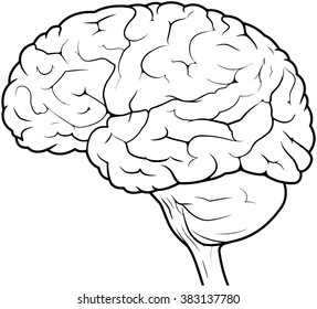 27,196 Brain line drawing Images, Stock Photos & Vectors | Shutterstock