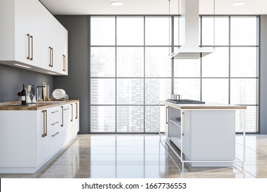 Side View Luxury Panoramic Kitchen Grey Stock Illustration 1667736553 ...