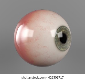 Side View Of Realistic Human Eyeball Green Iris Pupil Isolated On Grey Background, 3D Rendering