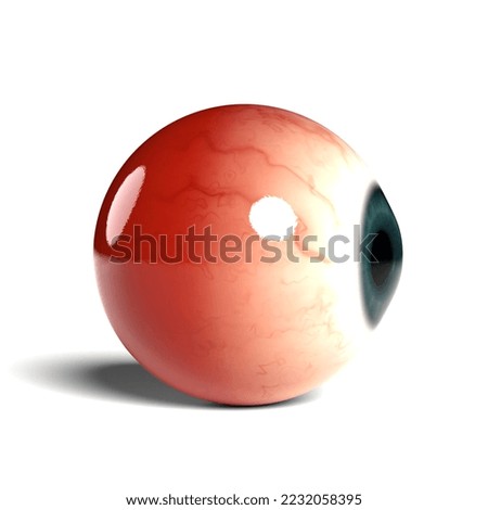 Side view of realistic human eyeball isolated on white background, 3D rendering. 3D Illustration