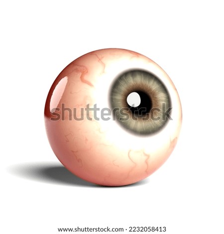 Side view of realistic human eyeball isolated on white background, 3D rendering. 3D Illustration