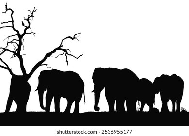 Side view of walking Asian Elephant isolated on white background - Powered by Shutterstock